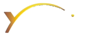 Xclusive dealers